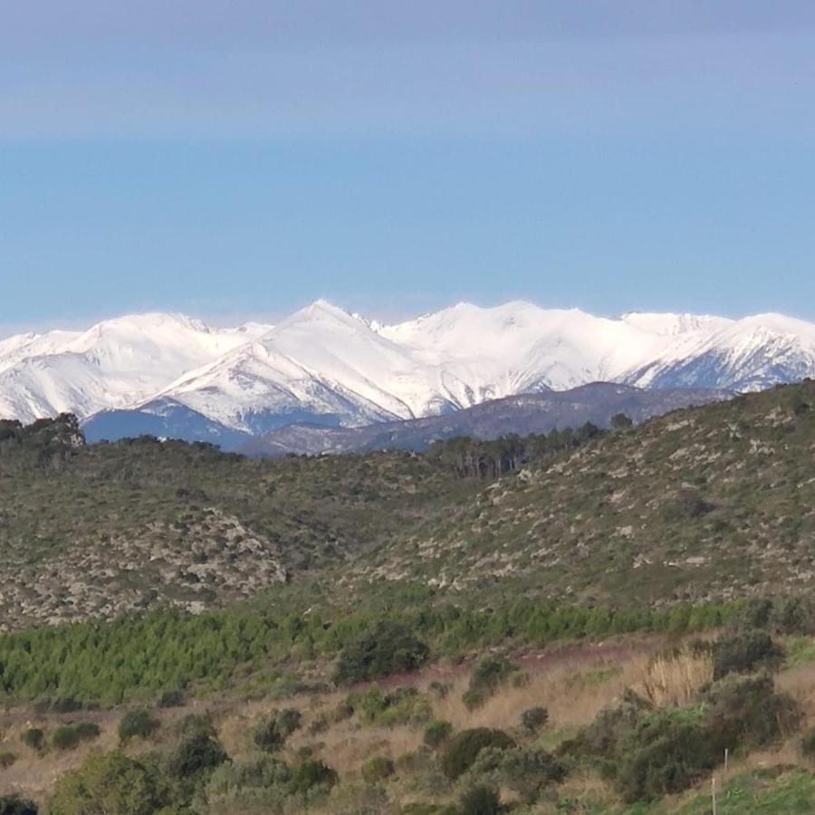 Casa Rural Cal Fuster Experience Terrades Экстерьер фото